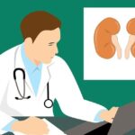10 Lines On Kidney in Hindi