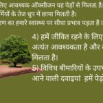 10 Lines on the Importance of Trees in Hindi