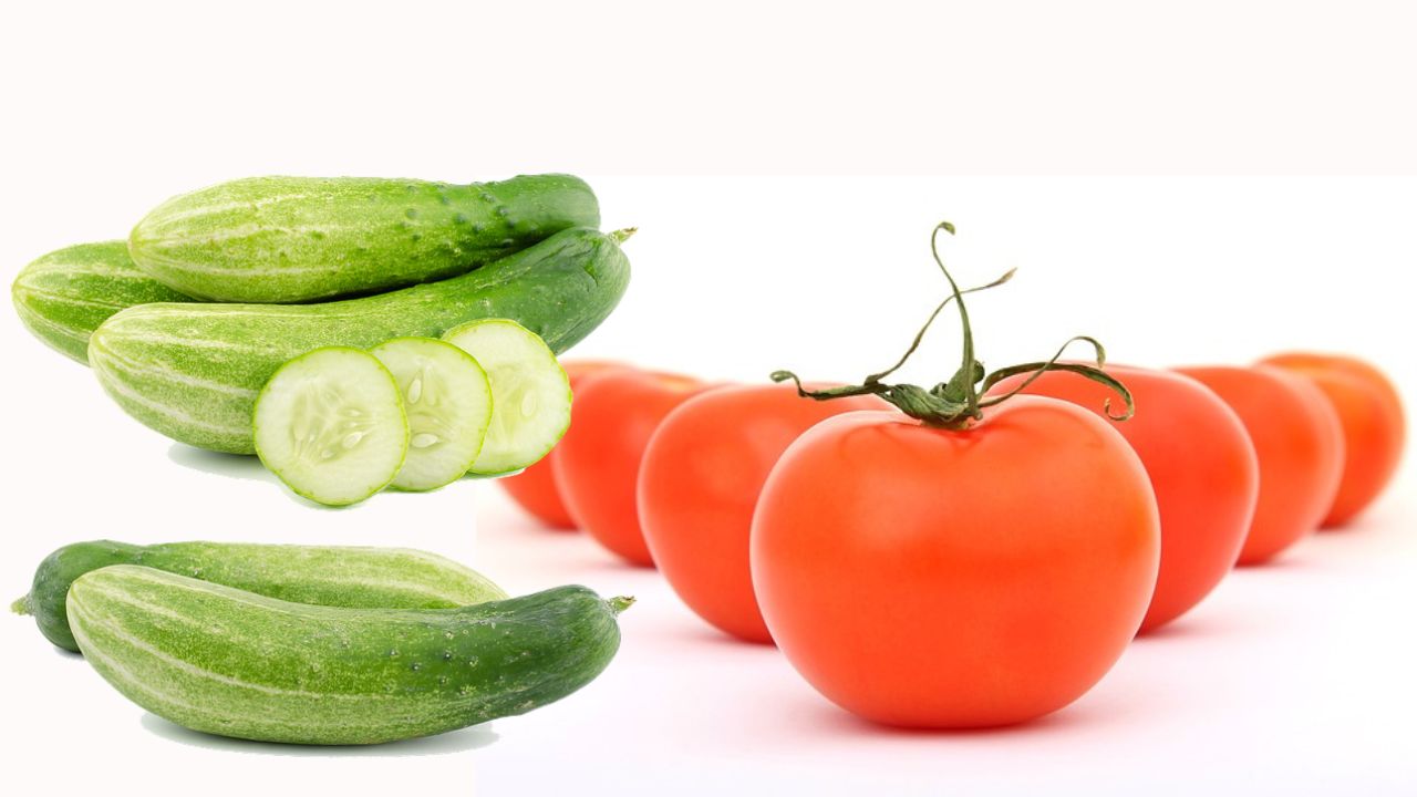 Healthy Vegetables in summer season